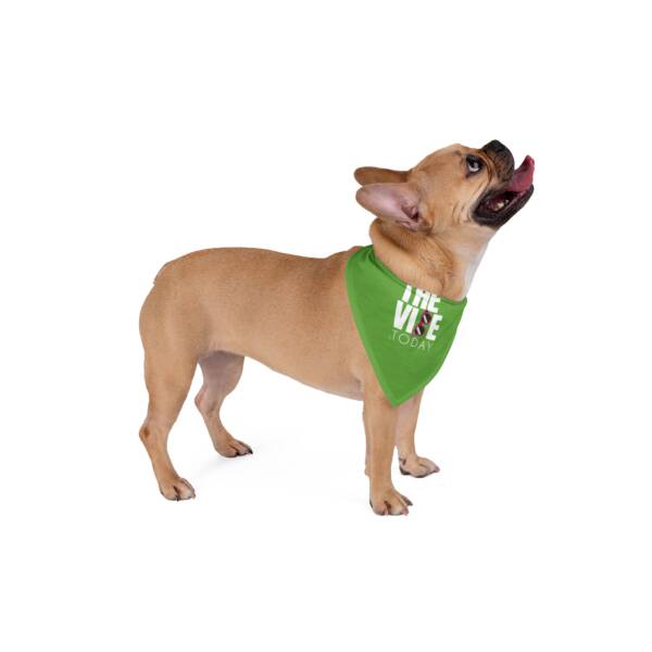 Stylish Pet Bandana - "The Vibe Today" - Trendy Neckwear for Dogs & Cats - Image 4