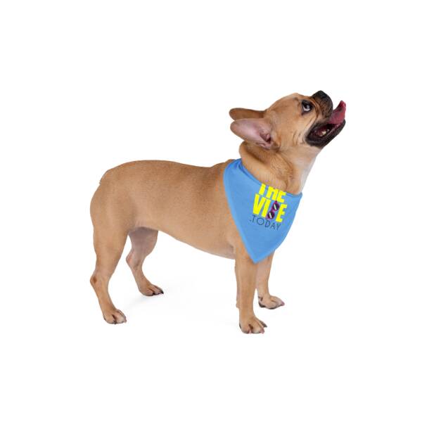 Trendy Pet Bandana - 'The Vibe Today' for Fashionable Pets - Image 4